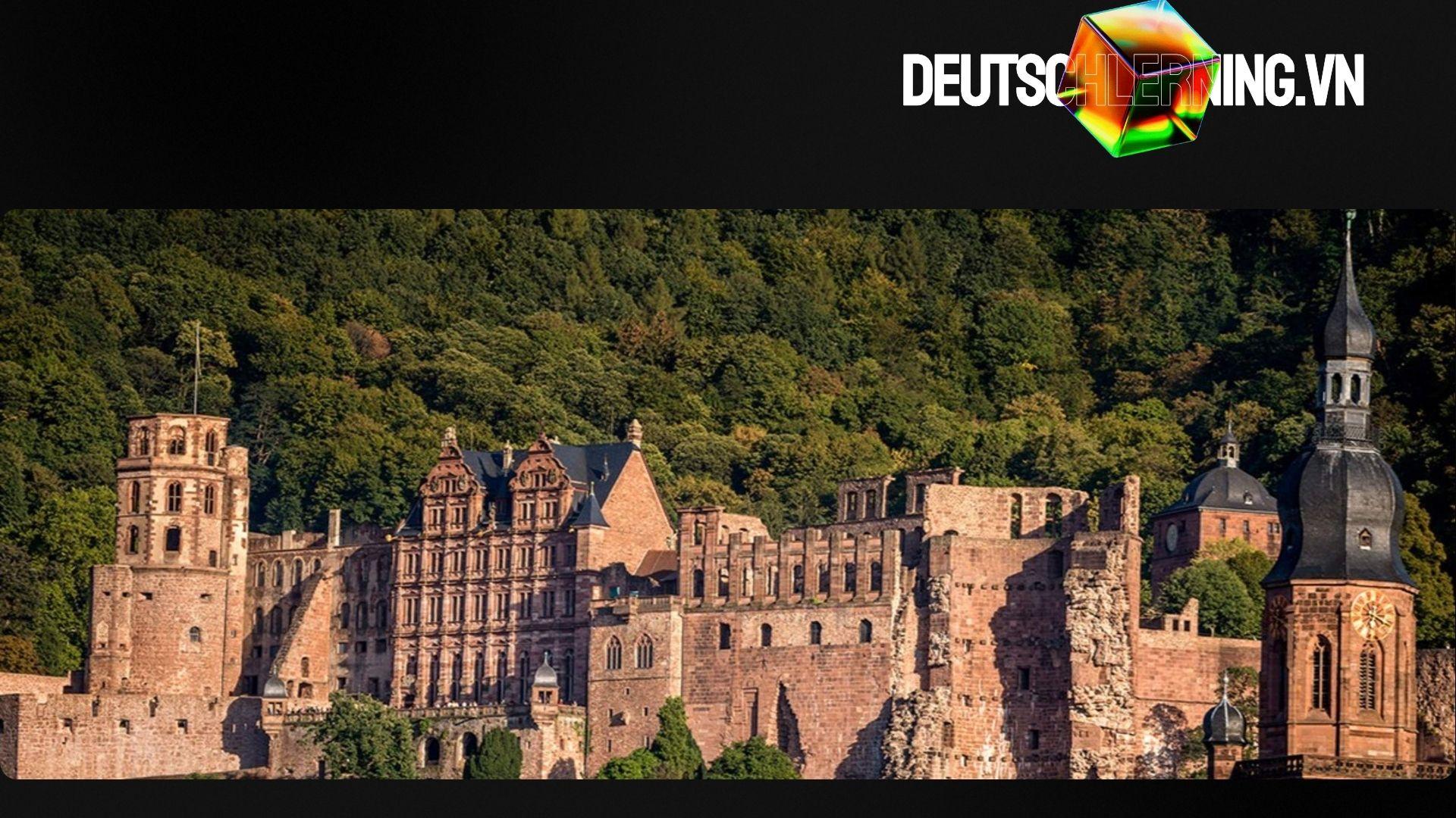 Lâu đài Heidelberg soi bóng xuống thung lũng Neckar.